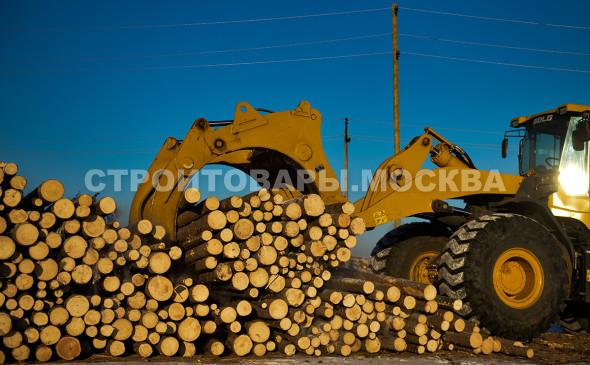 В России начал снижаться объем заготовки древесины